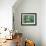 Celadon Morning-Mandy Budan-Framed Giclee Print displayed on a wall