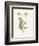 Celandine-Gwendolyn Babbitt-Framed Art Print