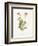 Celandine-Gwendolyn Babbitt-Framed Art Print