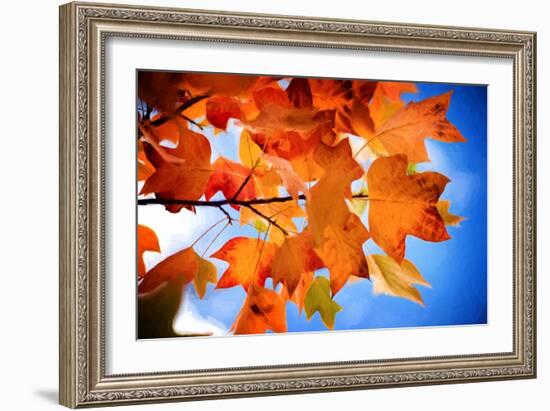 Celebrate Autumn-Philippe Sainte-Laudy-Framed Photographic Print