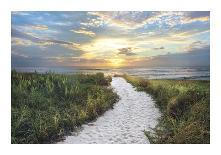 Morning Trail-Celebrate Life Gallery-Giclee Print
