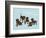 Celebrate Little Things-Dog is Good-Framed Art Print