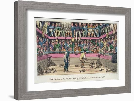 Celebrated Dog Billy Killing 100 Rats at Westminster Pit, c.1825-Theodore Lane-Framed Giclee Print