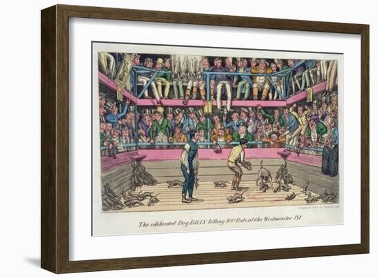 Celebrated Dog Billy Killing 100 Rats at Westminster Pit, c.1825-Theodore Lane-Framed Giclee Print