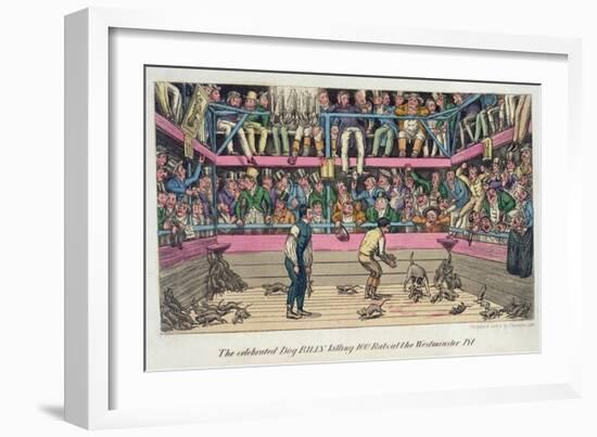 Celebrated Dog Billy Killing 100 Rats at Westminster Pit, c.1825-Theodore Lane-Framed Giclee Print