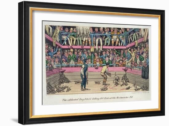 Celebrated Dog Billy Killing 100 Rats at Westminster Pit, c.1825-Theodore Lane-Framed Giclee Print