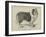 Celebrated Dogs, Charlemagne-Louis Wain-Framed Giclee Print