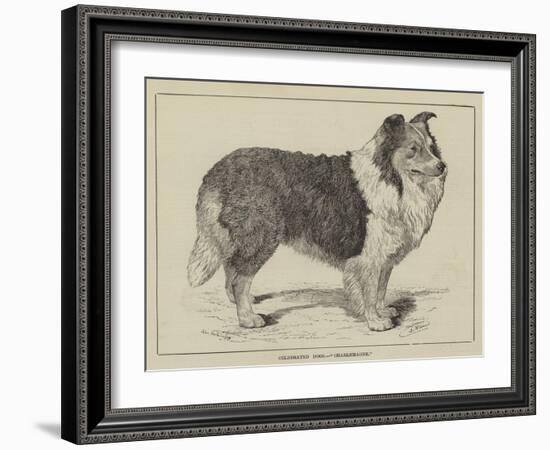 Celebrated Dogs, Charlemagne-Louis Wain-Framed Giclee Print