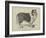 Celebrated Dogs, Charlemagne-Louis Wain-Framed Giclee Print