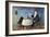 Celebrating Christmas-Margaret Loxton-Framed Giclee Print