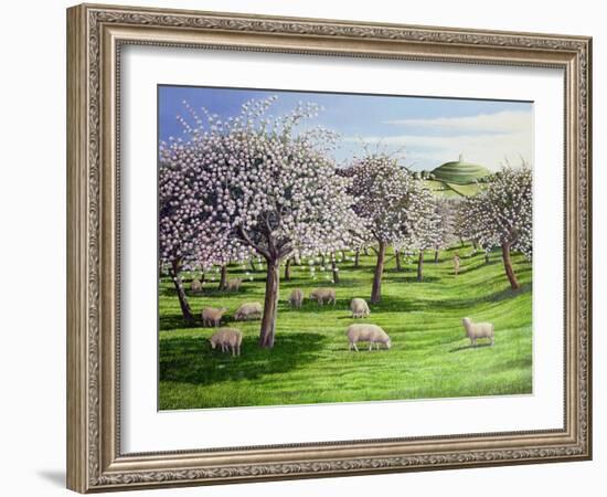 Celebration of Apple Blossom in Somerset, 2004-Liz Wright-Framed Giclee Print