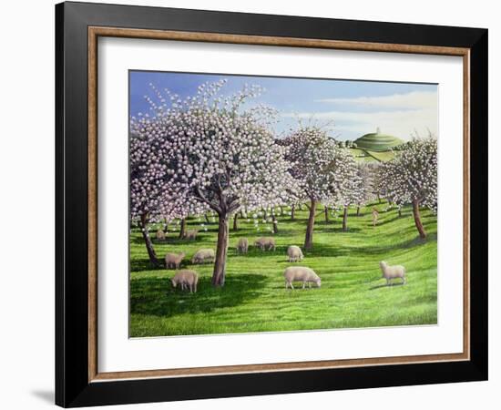 Celebration of Apple Blossom in Somerset, 2004-Liz Wright-Framed Giclee Print