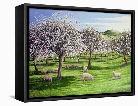 Celebration of Apple Blossom in Somerset, 2004-Liz Wright-Framed Premier Image Canvas