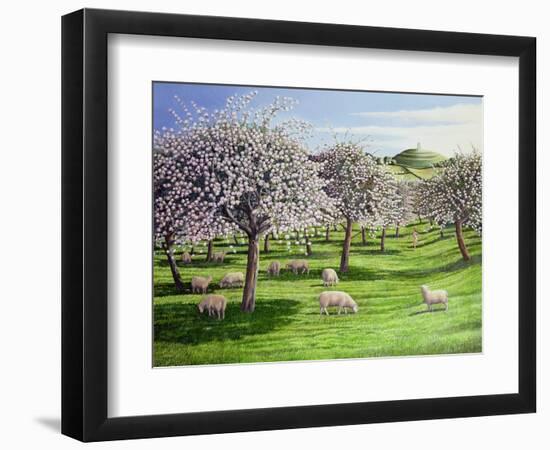 Celebration of Apple Blossom in Somerset, 2004-Liz Wright-Framed Giclee Print