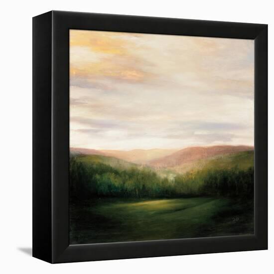 Celebration-Julia Purinton-Framed Stretched Canvas