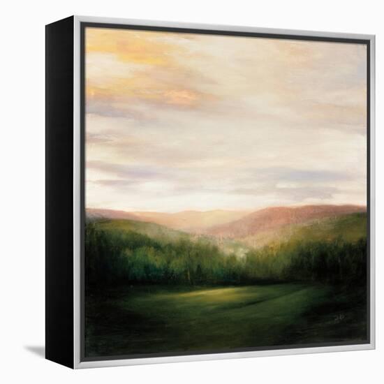 Celebration-Julia Purinton-Framed Stretched Canvas