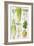 Celery, Fennel, Dill and Celeriac-Elizabeth Rice-Framed Giclee Print