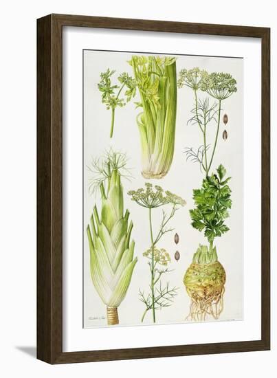 Celery, Fennel, Dill and Celeriac-Elizabeth Rice-Framed Giclee Print