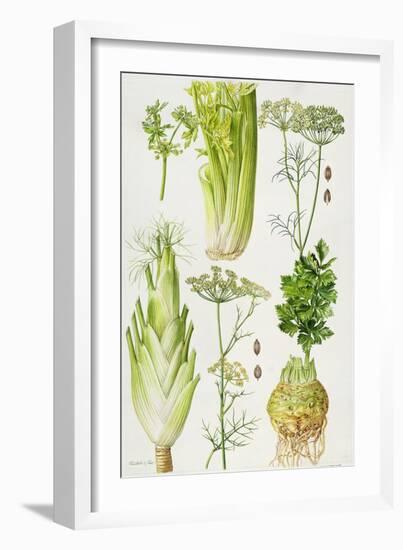 Celery, Fennel, Dill and Celeriac-Elizabeth Rice-Framed Giclee Print