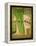 Celery Pack-Tim Nyberg-Framed Premier Image Canvas