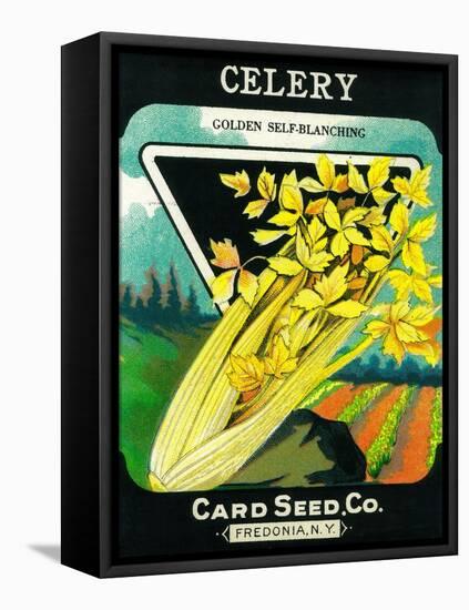 Celery Seed Packet-Lantern Press-Framed Stretched Canvas