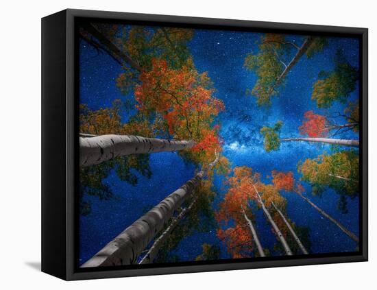 Celestial call-Marco Carmassi-Framed Premier Image Canvas