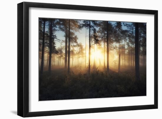 Celestial Dawn-Andreas Stridsberg-Framed Giclee Print