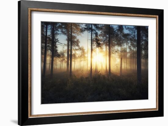 Celestial Dawn-Andreas Stridsberg-Framed Giclee Print