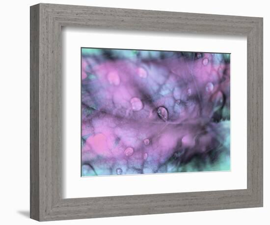 Celestial Dew Drops I-Eva Bane-Framed Photographic Print