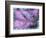 Celestial Dew Drops I-Eva Bane-Framed Photographic Print