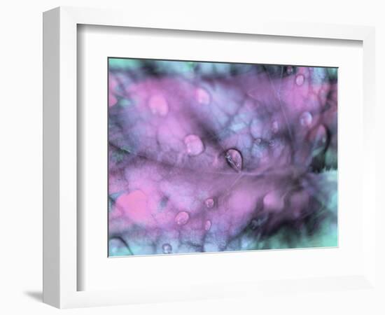 Celestial Dew Drops I-Eva Bane-Framed Photographic Print