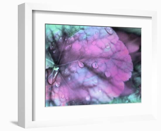 Celestial Dew Drops III-Eva Bane-Framed Photographic Print