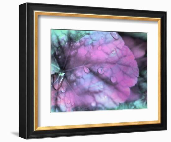 Celestial Dew Drops III-Eva Bane-Framed Photographic Print