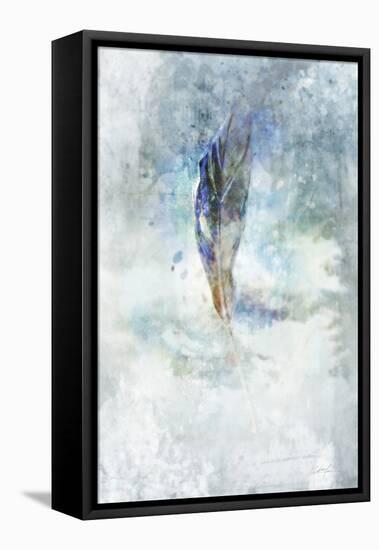 Celestial Feather 2-Ken Roko-Framed Stretched Canvas