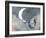 Celestial Love I-null-Framed Art Print