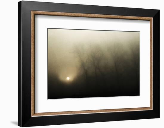 Celestial melody to the earth-Yvette Depaepe-Framed Photographic Print