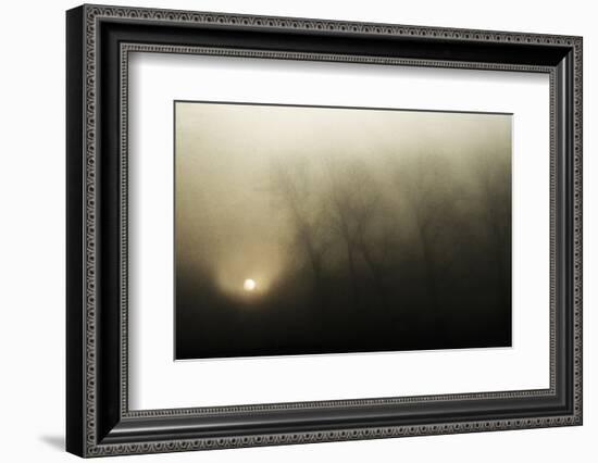 Celestial melody to the earth-Yvette Depaepe-Framed Photographic Print