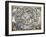 Celestial Planisphere, 1660-Andreas Cellarius-Framed Giclee Print