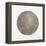 Celestial Sphere Rebirth-Tyson Estes-Framed Premier Image Canvas