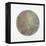 Celestial Sphere Rebirth-Tyson Estes-Framed Premier Image Canvas