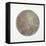 Celestial Sphere Rebirth-Tyson Estes-Framed Premier Image Canvas