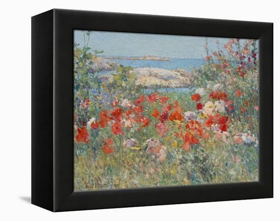 Celia Thaxter's Garden, Isles of Shoals, Maine, 1890-Childe Hassam-Framed Premier Image Canvas