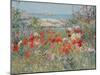 Celia Thaxter's Garden, Isles of Shoals, Maine, 1890-Childe Hassam-Mounted Premium Giclee Print