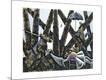 Giclee Print