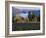 Celilo Vineyard, Columbia River Gorge, Washington, USA-Janis Miglavs-Framed Photographic Print