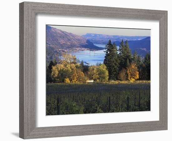 Celilo Vineyard, Columbia River Gorge, Washington, USA-Janis Miglavs-Framed Photographic Print