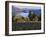 Celilo Vineyard, Columbia River Gorge, Washington, USA-Janis Miglavs-Framed Photographic Print