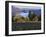 Celilo Vineyard, Columbia River Gorge, Washington, USA-Janis Miglavs-Framed Photographic Print