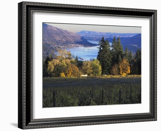 Celilo Vineyard, Columbia River Gorge, Washington, USA-Janis Miglavs-Framed Photographic Print