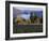 Celilo Vineyard, Columbia River Gorge, Washington, USA-Janis Miglavs-Framed Photographic Print